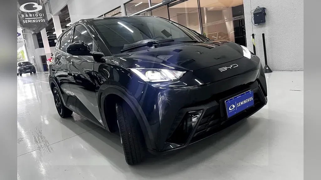 Foto de um byd dolphin mini