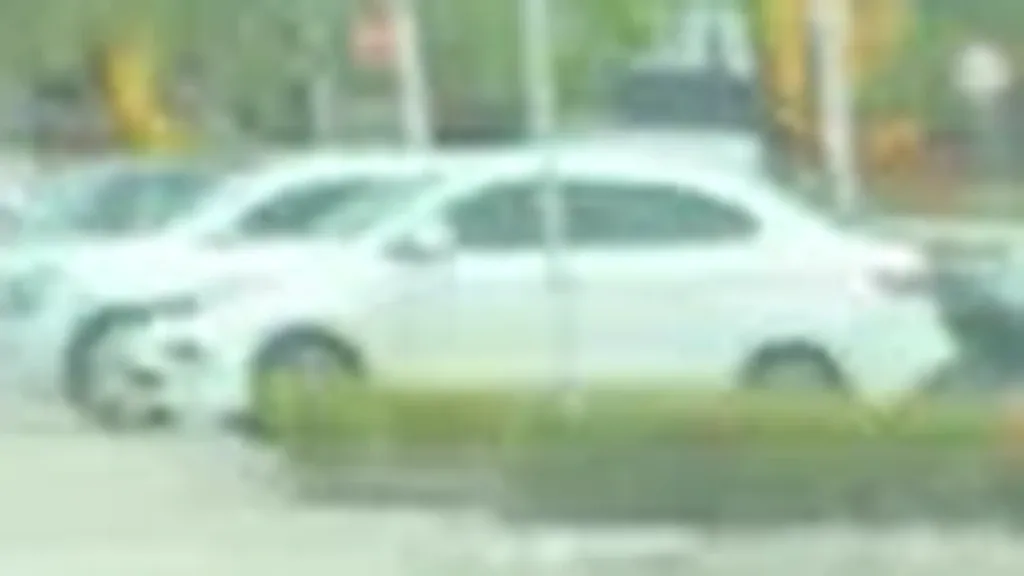 BYD Dolphin Mini - Imagem 8