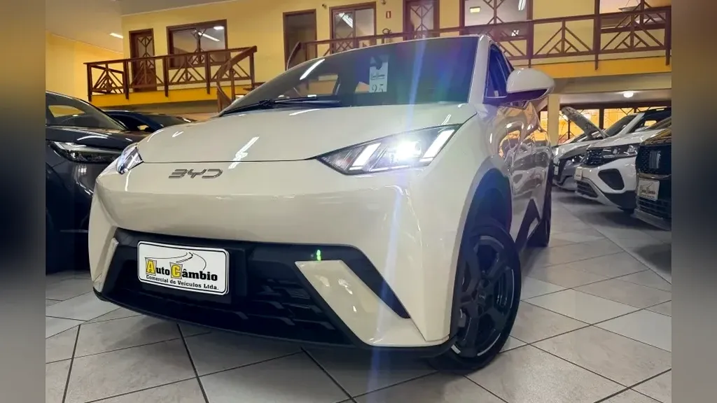 BYD Dolphin Mini - Imagem 18
