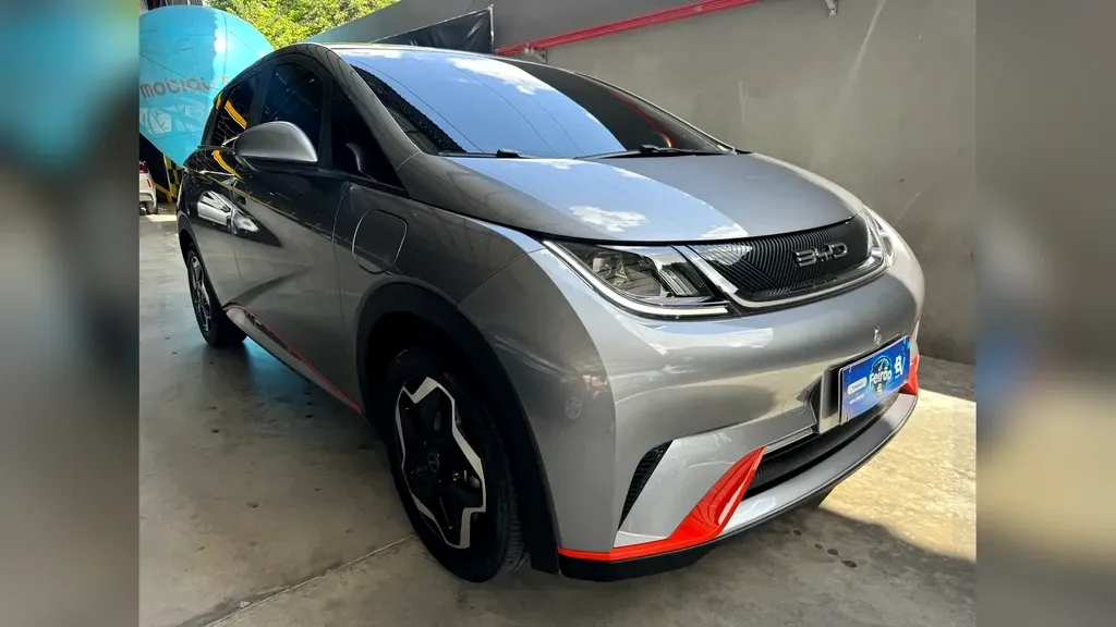 Foto de um byd dolphin