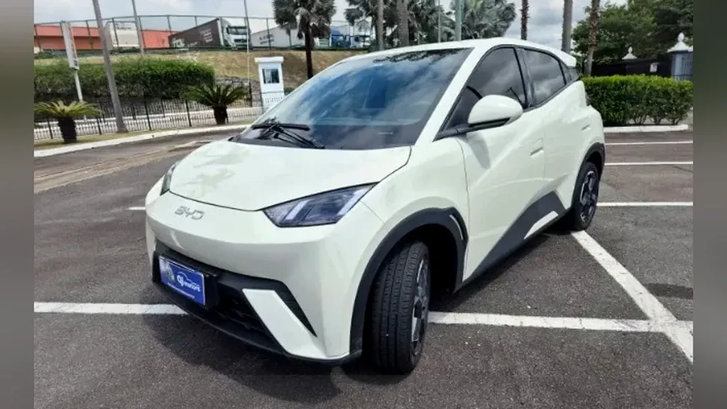 Foto de um byd dolphin mini