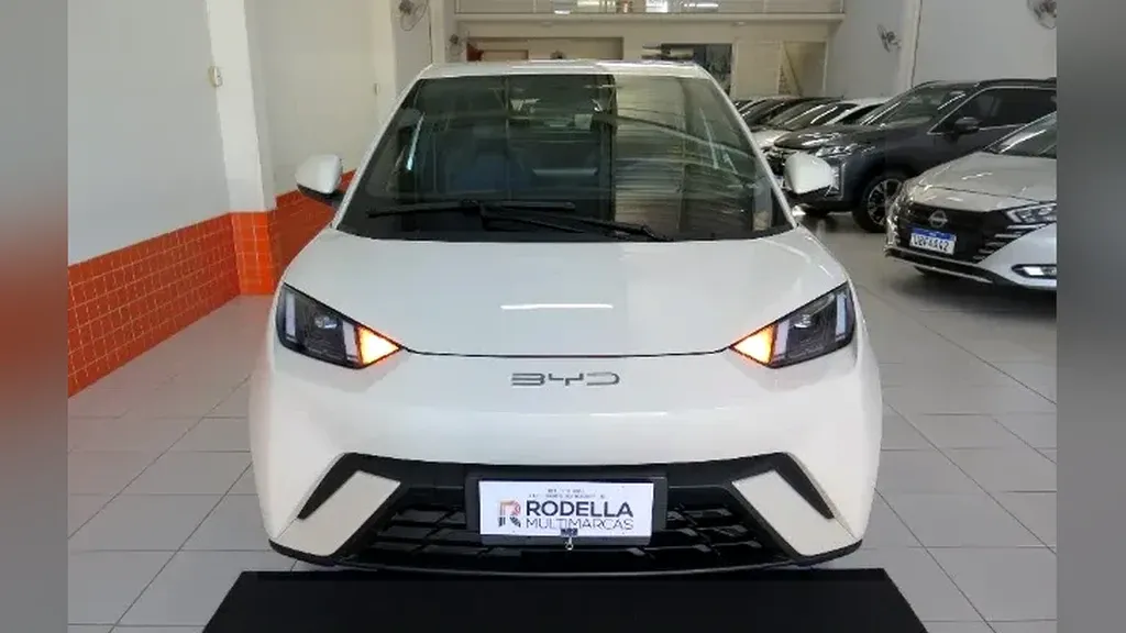 Foto de um byd dolphin mini