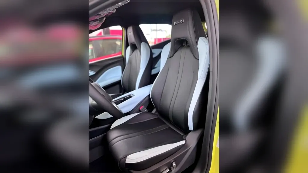 BYD Dolphin Mini - Imagem 10