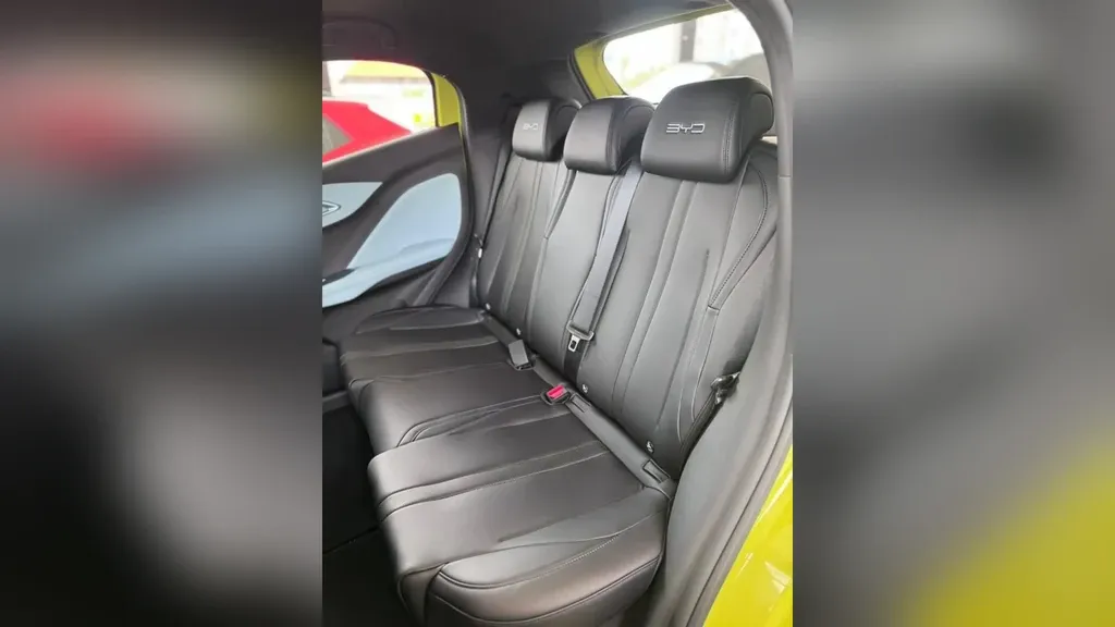 BYD Dolphin Mini - Imagem 11