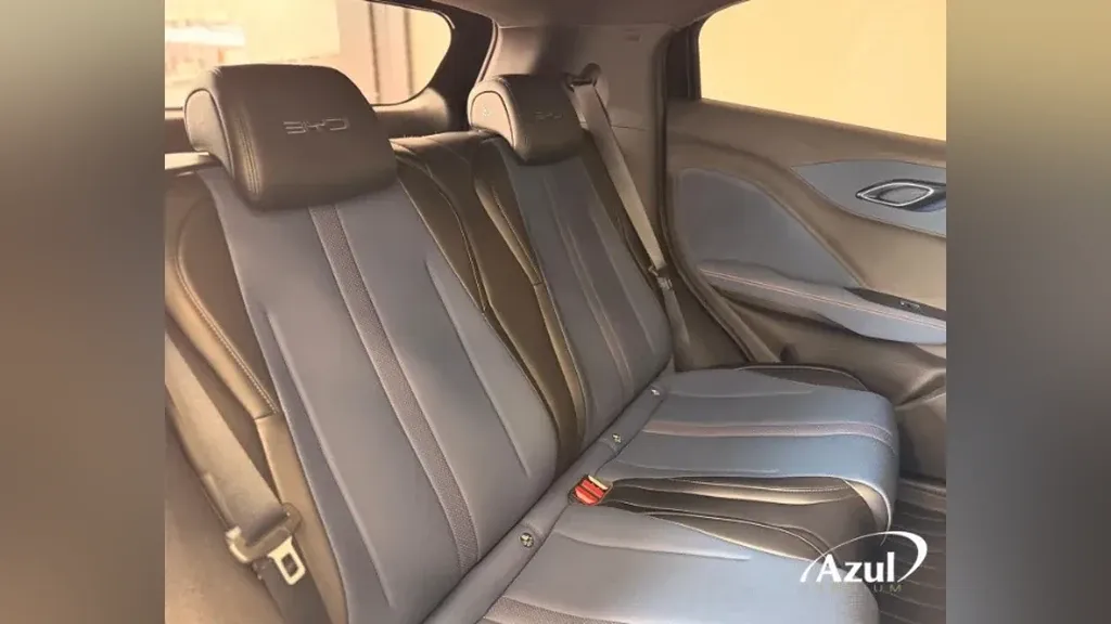 BYD Dolphin Mini - Imagem 16