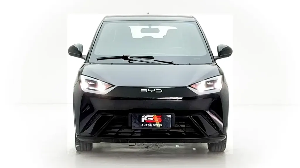 Foto de um byd dolphin mini