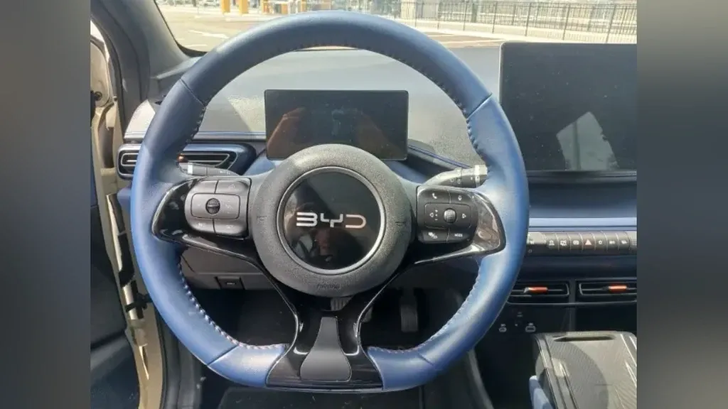 BYD Dolphin Mini - Imagem 20