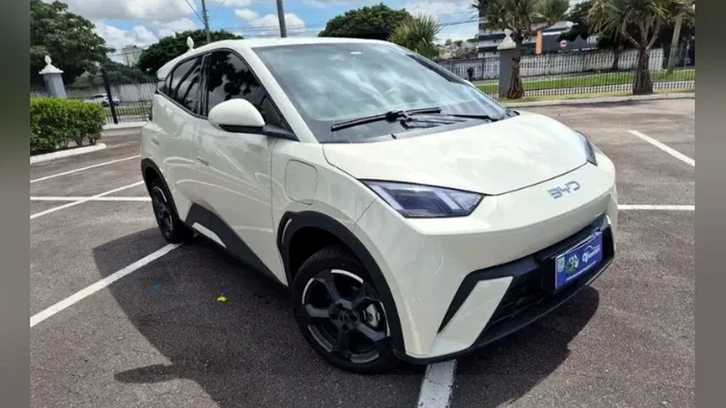 Foto de um byd dolphin mini