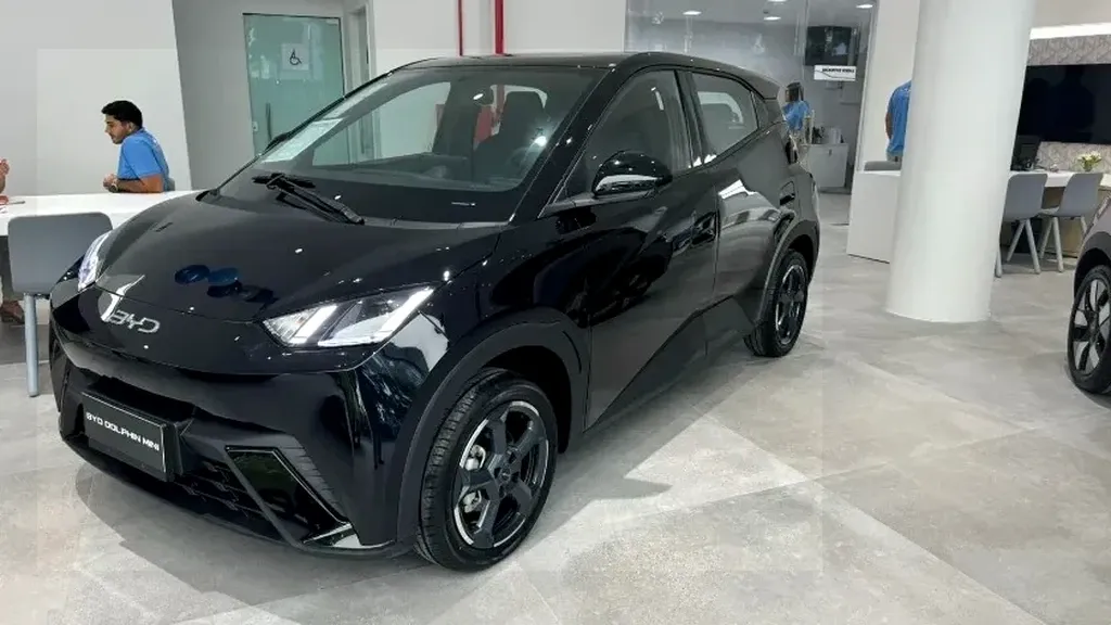 Foto de um byd dolphin mini