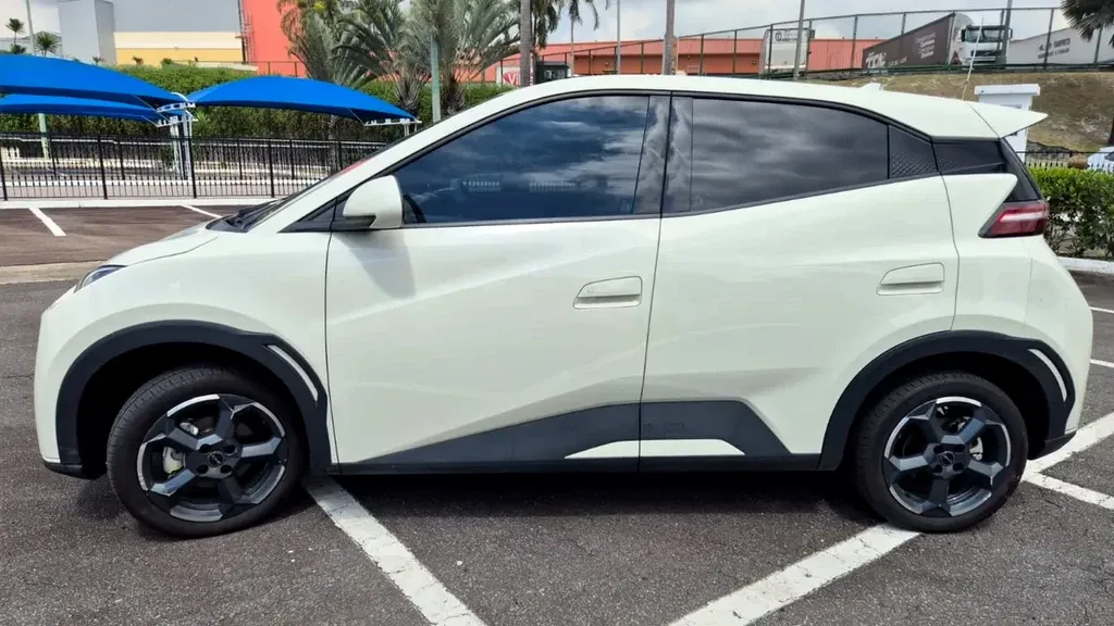 Foto de um byd dolphin mini