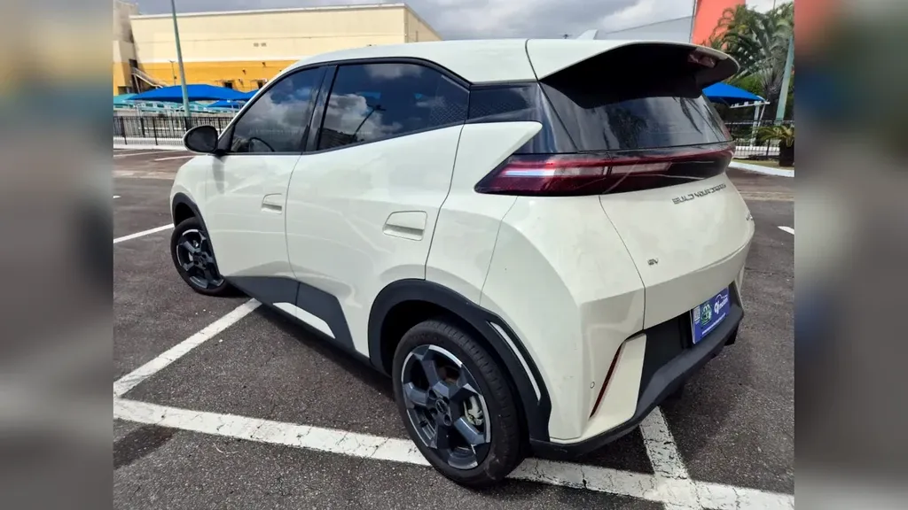 BYD Dolphin Mini - Imagem 14