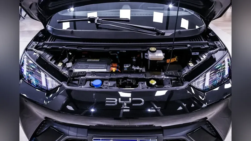 BYD Dolphin Mini - Imagem 6