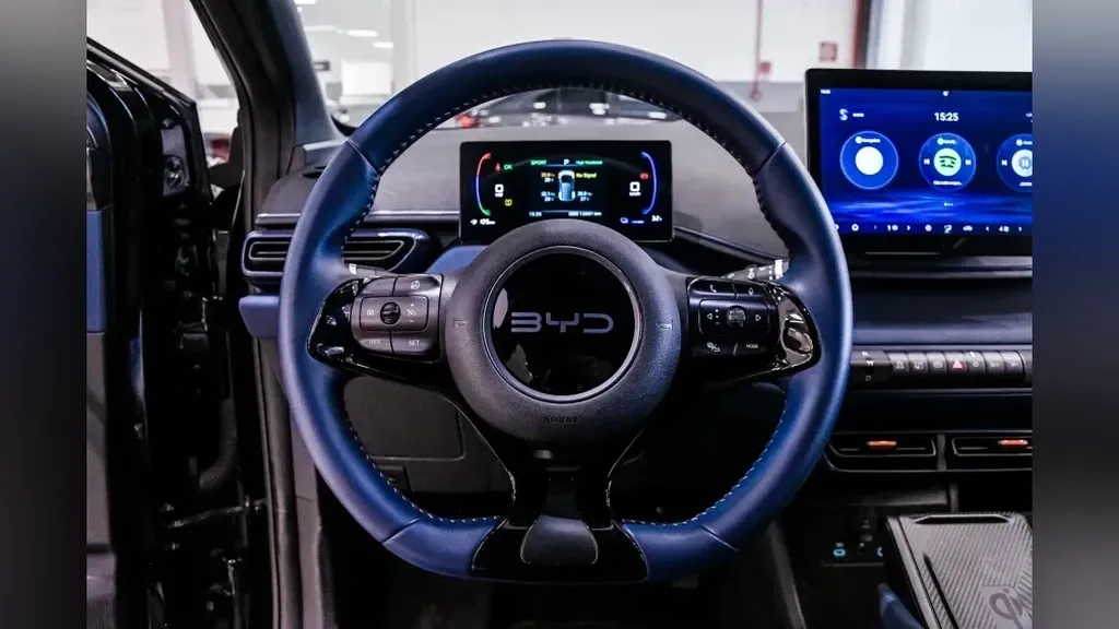 BYD Dolphin Mini - Imagem 15