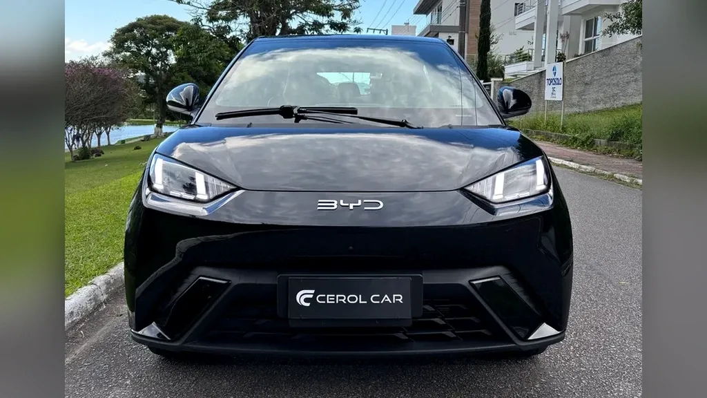 Foto de um byd dolphin mini