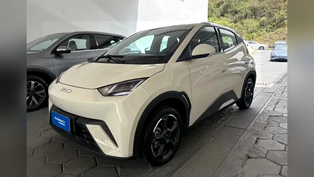 Foto de um byd dolphin mini