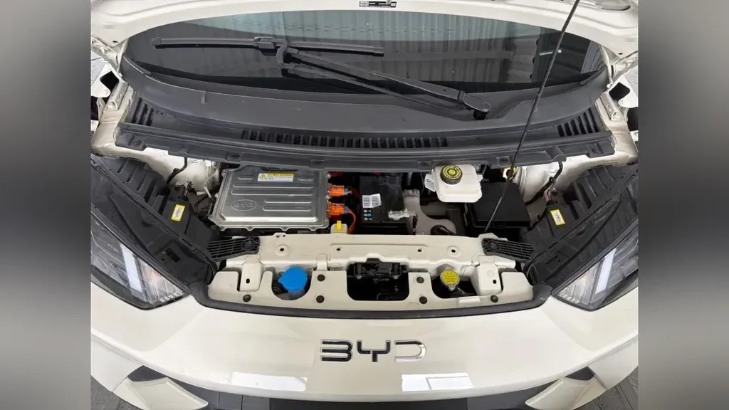 BYD Dolphin Mini - Imagem 4