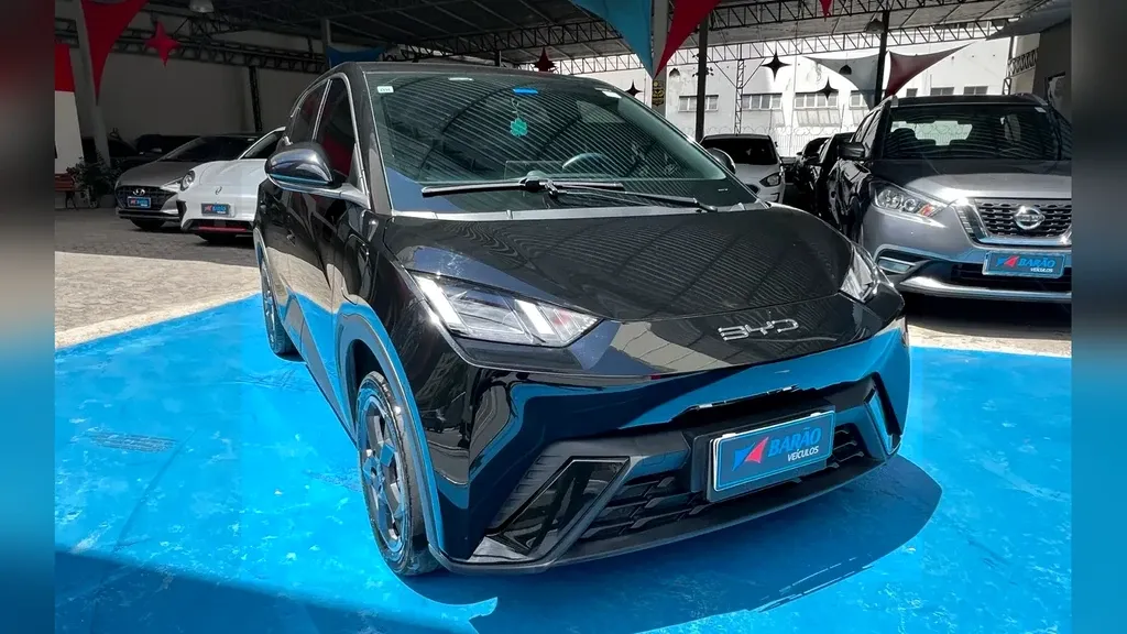 Foto de um byd dolphin mini