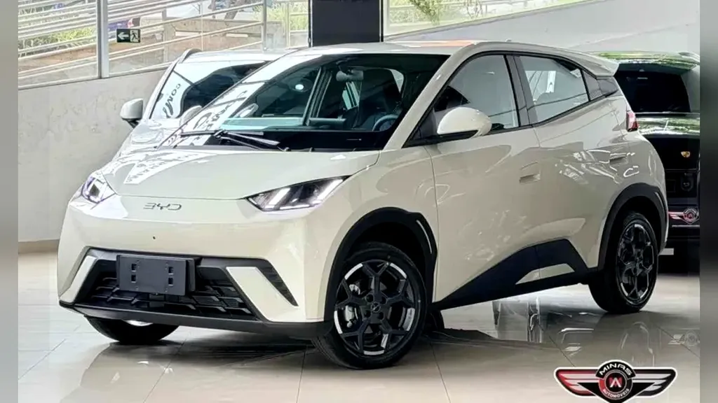 Foto de um byd dolphin mini