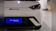 BYD Dolphin Mini - Miniatura 12