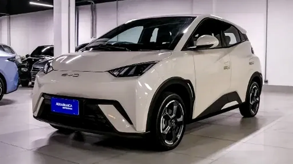 Foto de um byd dolphin mini