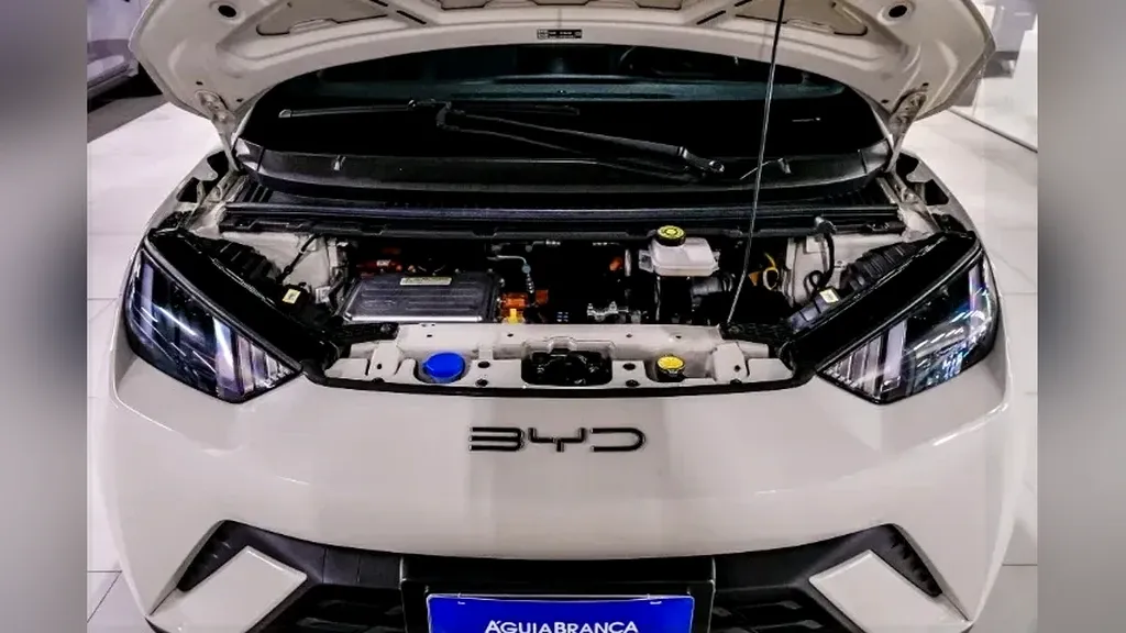 BYD Dolphin Mini - Imagem 9