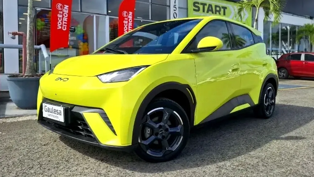 Foto de um byd dolphin mini