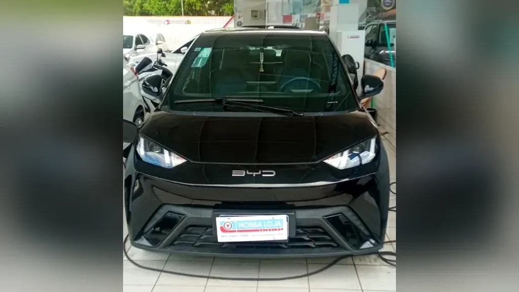 Foto de um byd dolphin mini