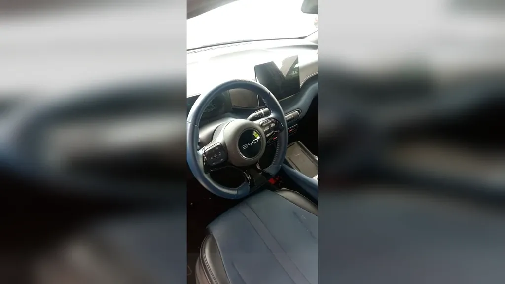 BYD Dolphin Mini - Imagem 8