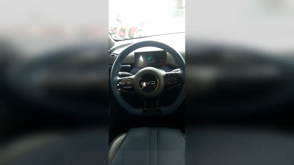 BYD Dolphin Mini - Imagem 10