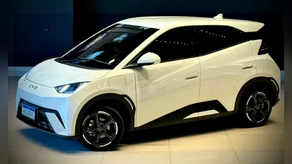 Foto de um byd dolphin mini