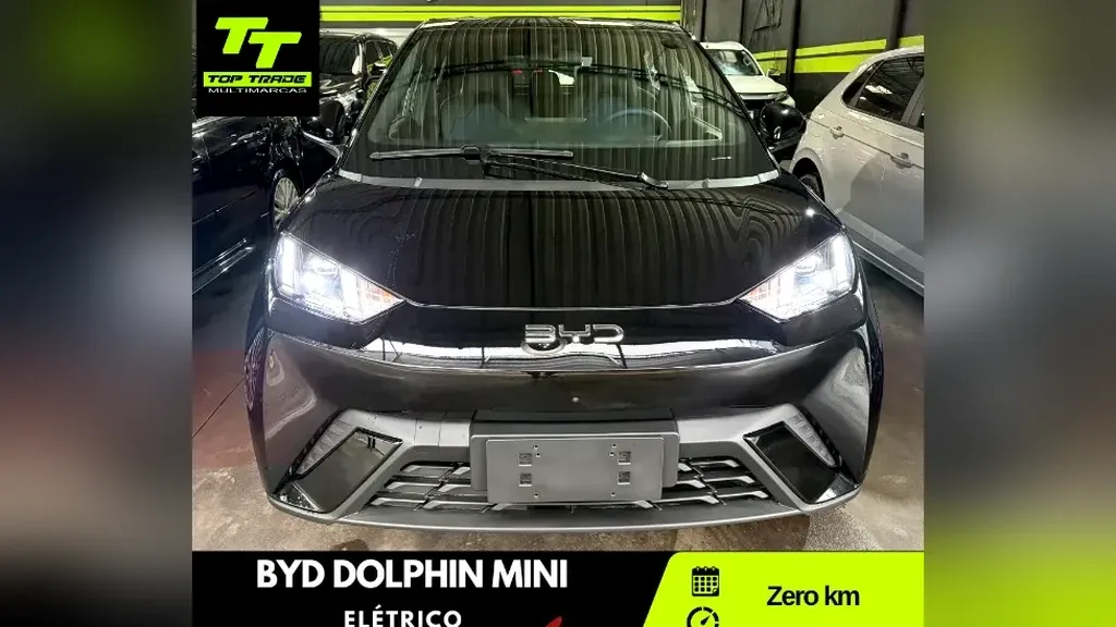 Foto de um byd dolphin mini