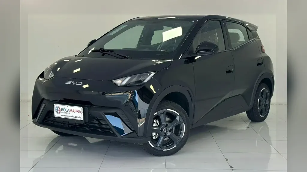 Foto de um byd dolphin mini