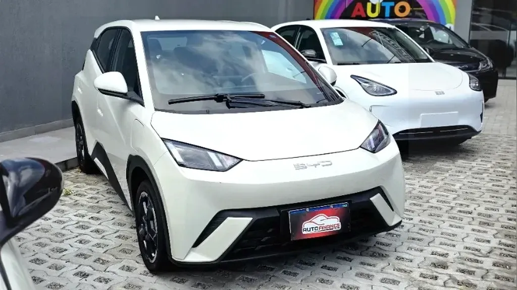 Foto de um byd dolphin mini