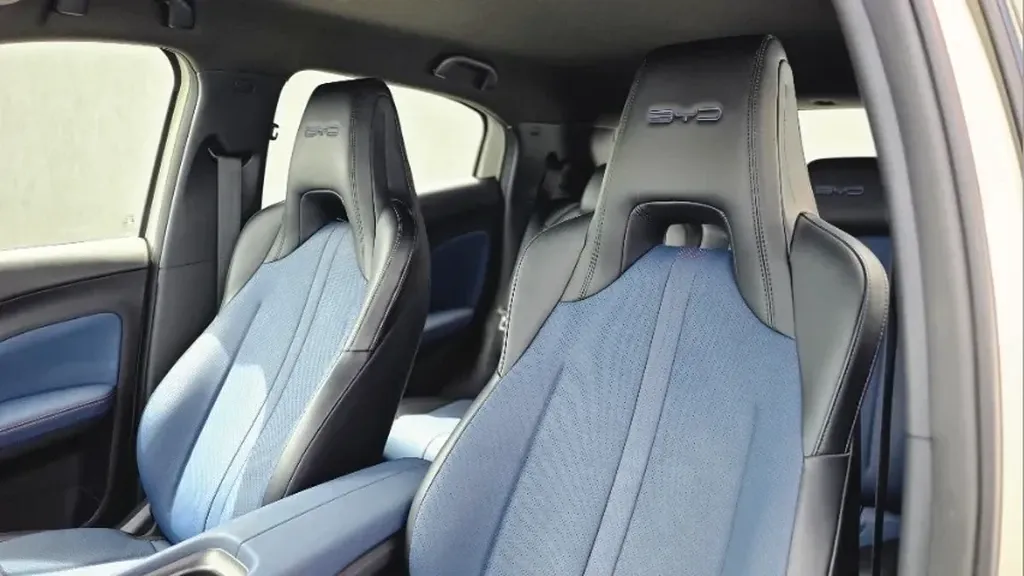 BYD Dolphin Mini - Imagem 15