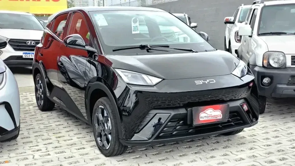 Foto de um byd dolphin mini