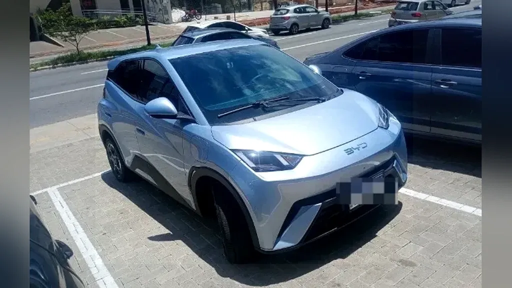 Foto de um byd dolphin mini