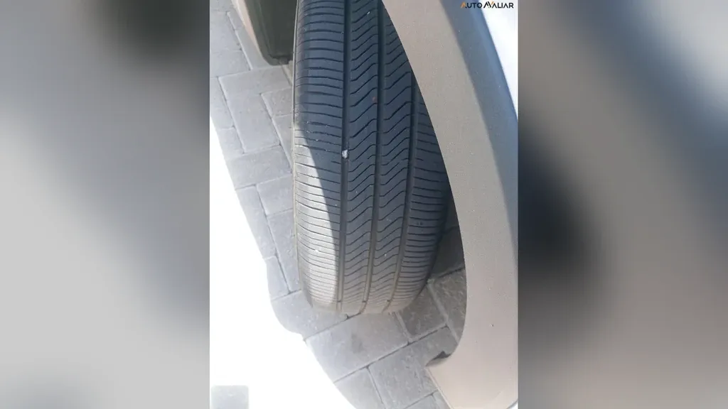 BYD Dolphin Mini - Imagem 6