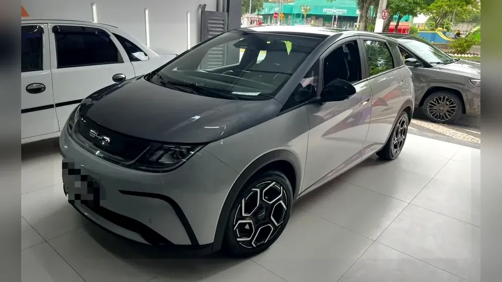 Foto de um byd dolphin plus