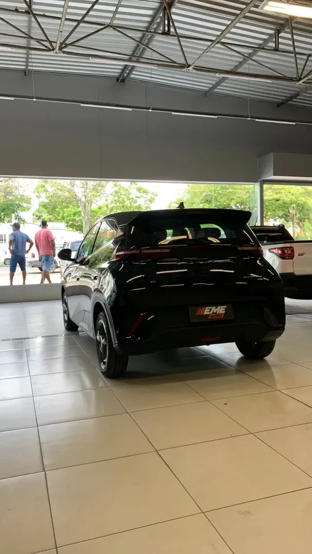 BYD Dolphin Mini - Imagem 14