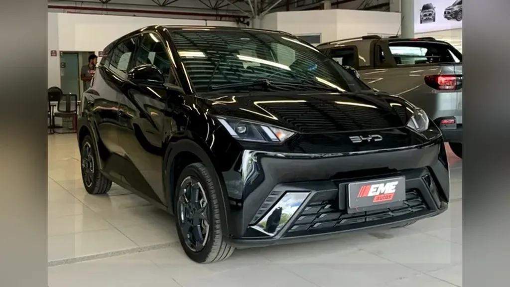 Foto de um byd dolphin mini