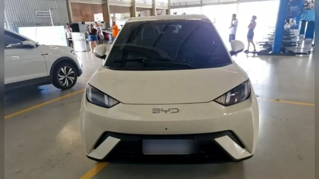 Foto de um byd dolphin mini