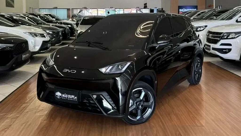 Foto de um byd dolphin