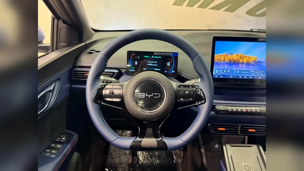 BYD Dolphin Mini - Imagem 9