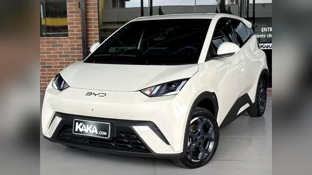 Foto de um byd dolphin mini