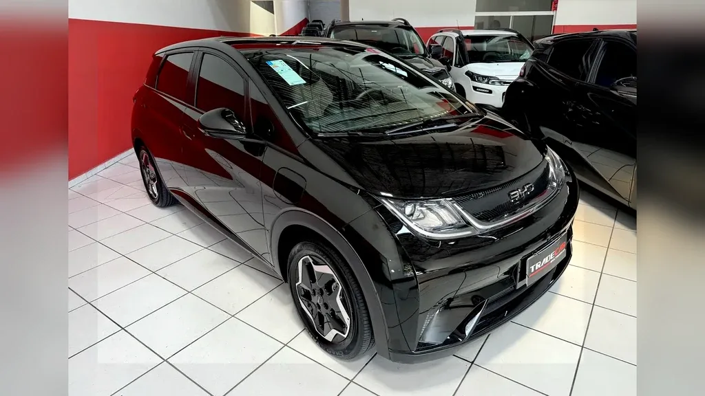 Foto de um byd dolphin