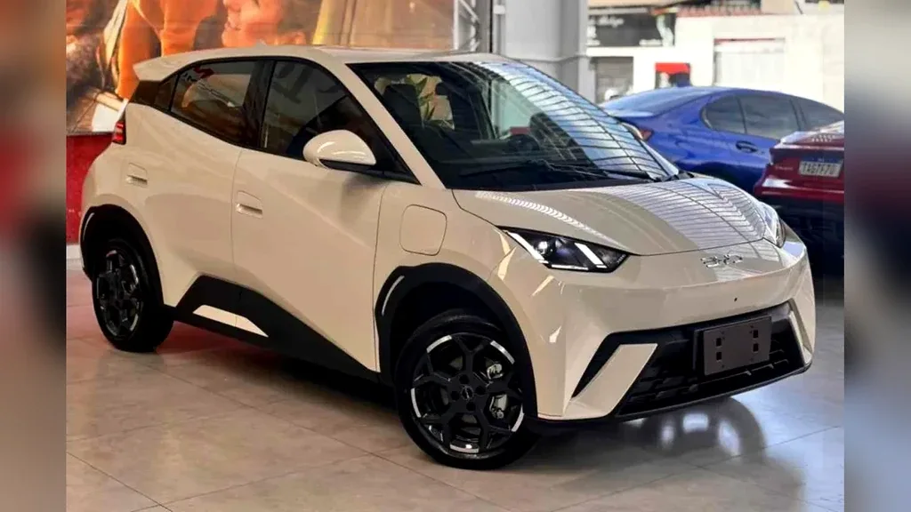 Foto de um byd dolphin mini