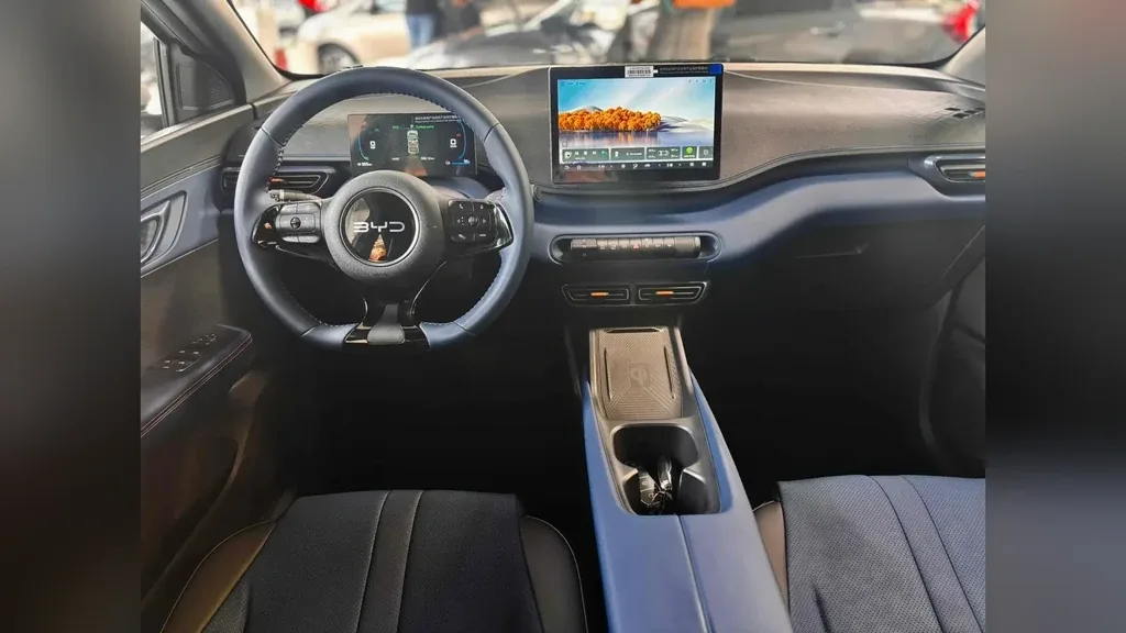 BYD Dolphin Mini - Imagem 12