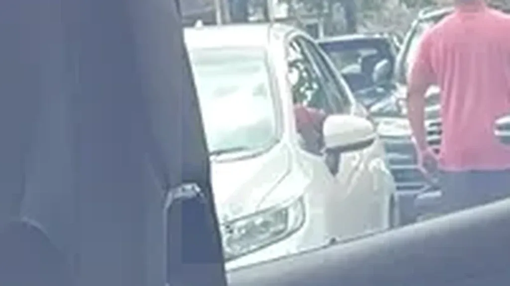 BYD Dolphin Mini - Imagem 11