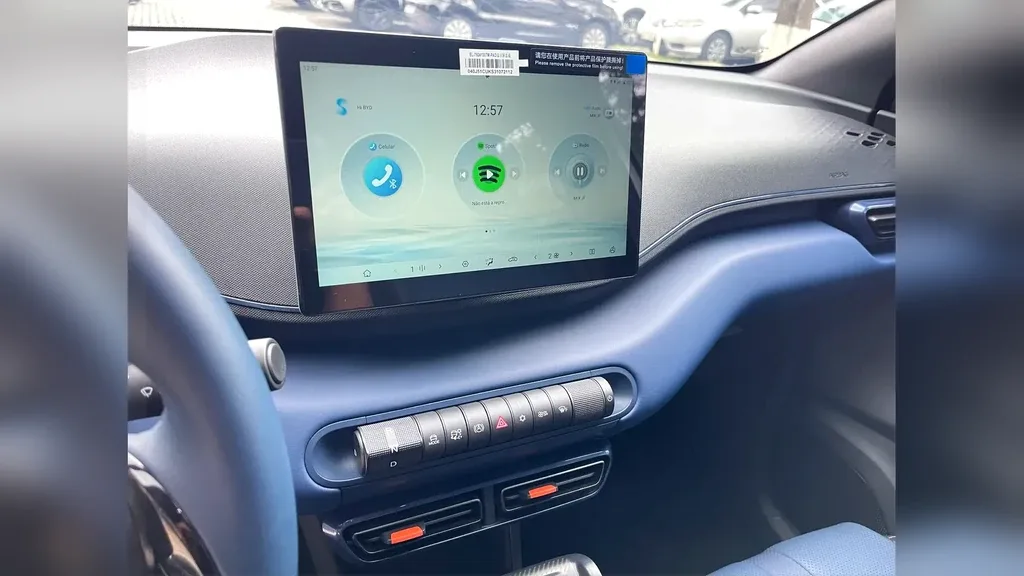 BYD Dolphin Mini - Imagem 14