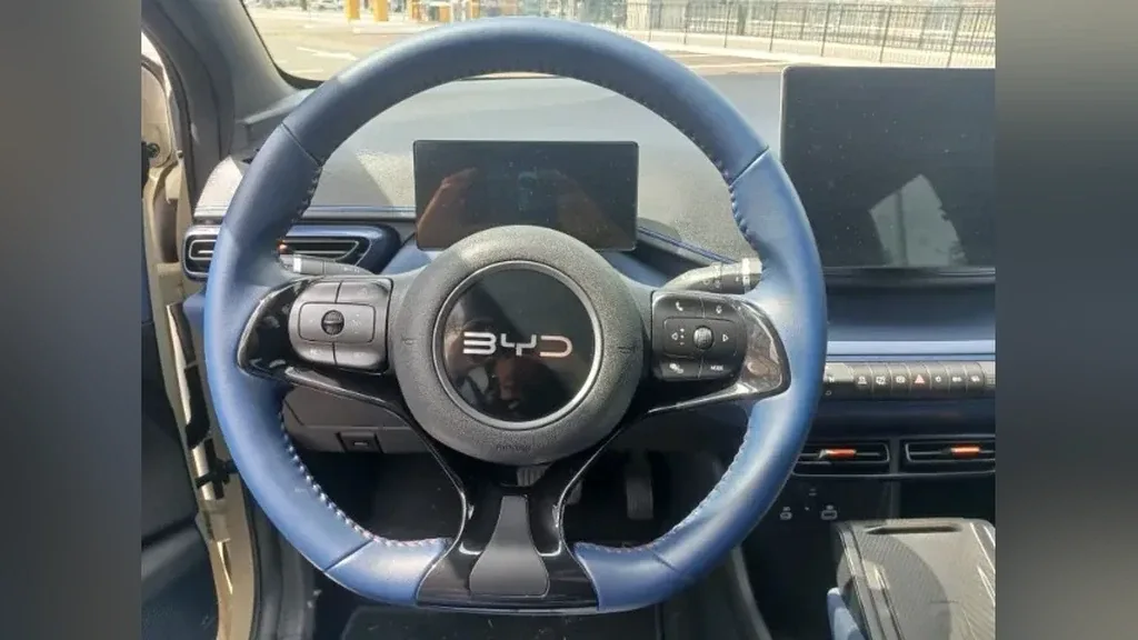 BYD Dolphin Mini - Imagem 19